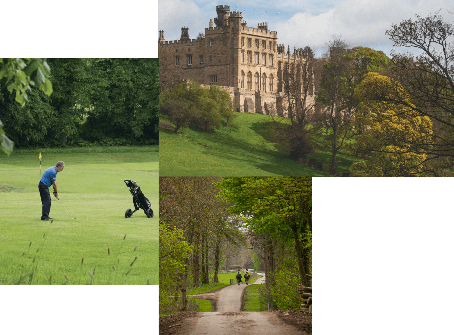 collage of images of the country side near Hedworths Green